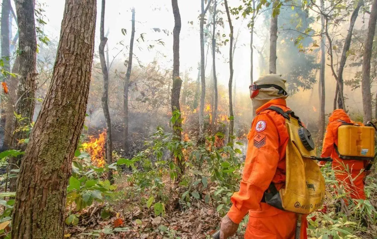 combate incendio serra3
