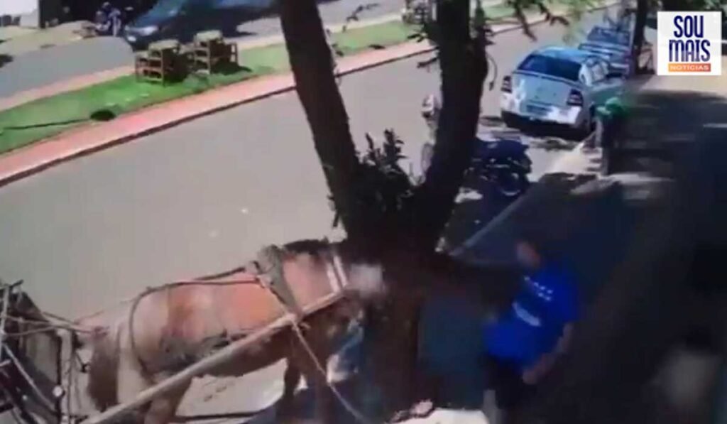 Vereador é mordido por burro durante caminhada pela calçada no Paraná