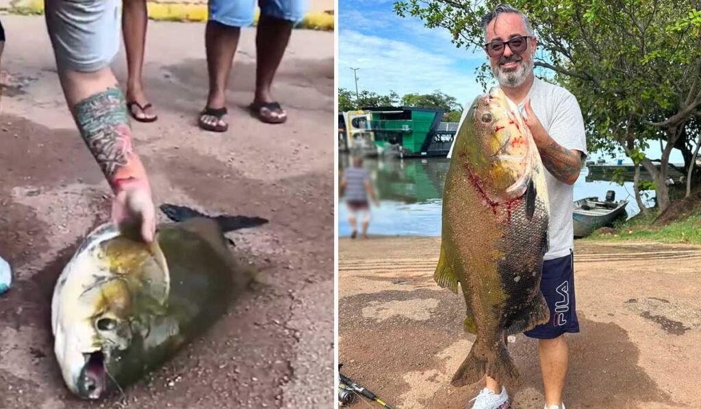 Pescador chama atenção ao fisgar tambaqui com quase 30 quilos em Palmas