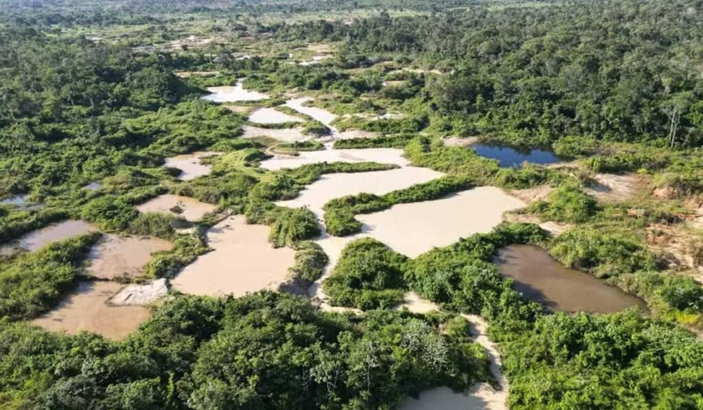 Polícia Federal fecha três garimpos ilegais na Terra Indígena Kayapó, no Pará