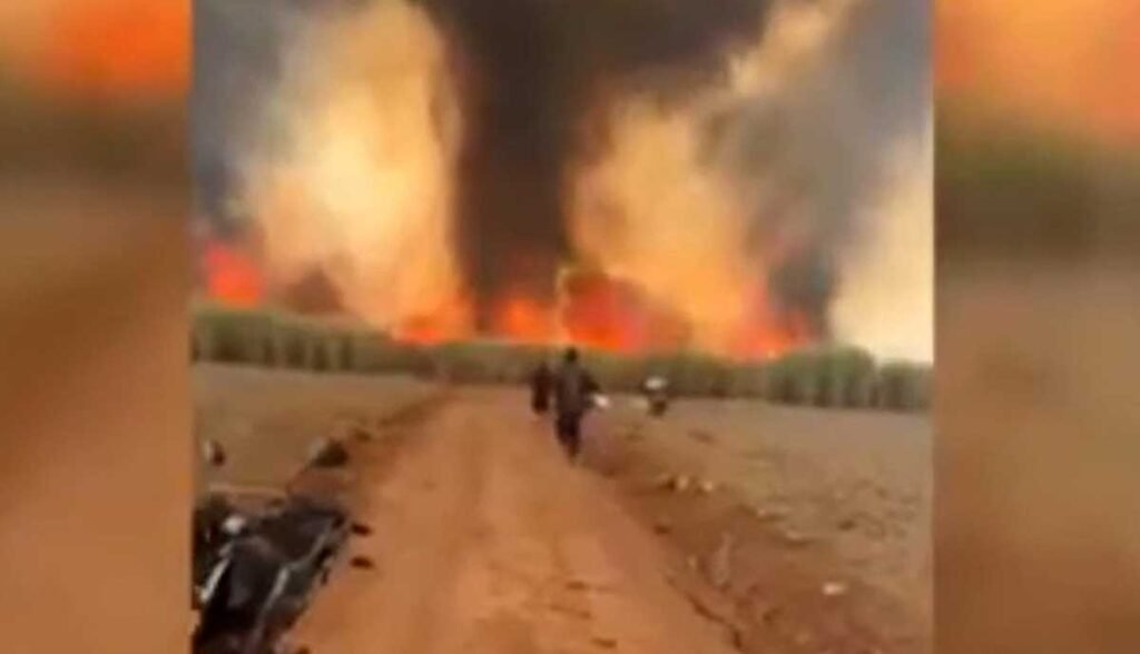 Fazendeira que morreu ao tentar apagar incêndio em fazenda se perdeu entre as chamas e gritou por socorro